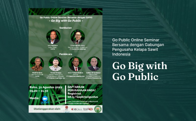 Go Big with Go Public Online Seminar
